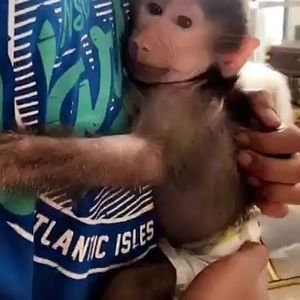 Meet your Posher, Rose